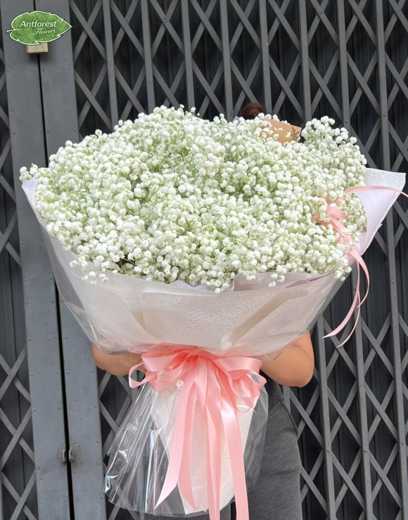 Women Day